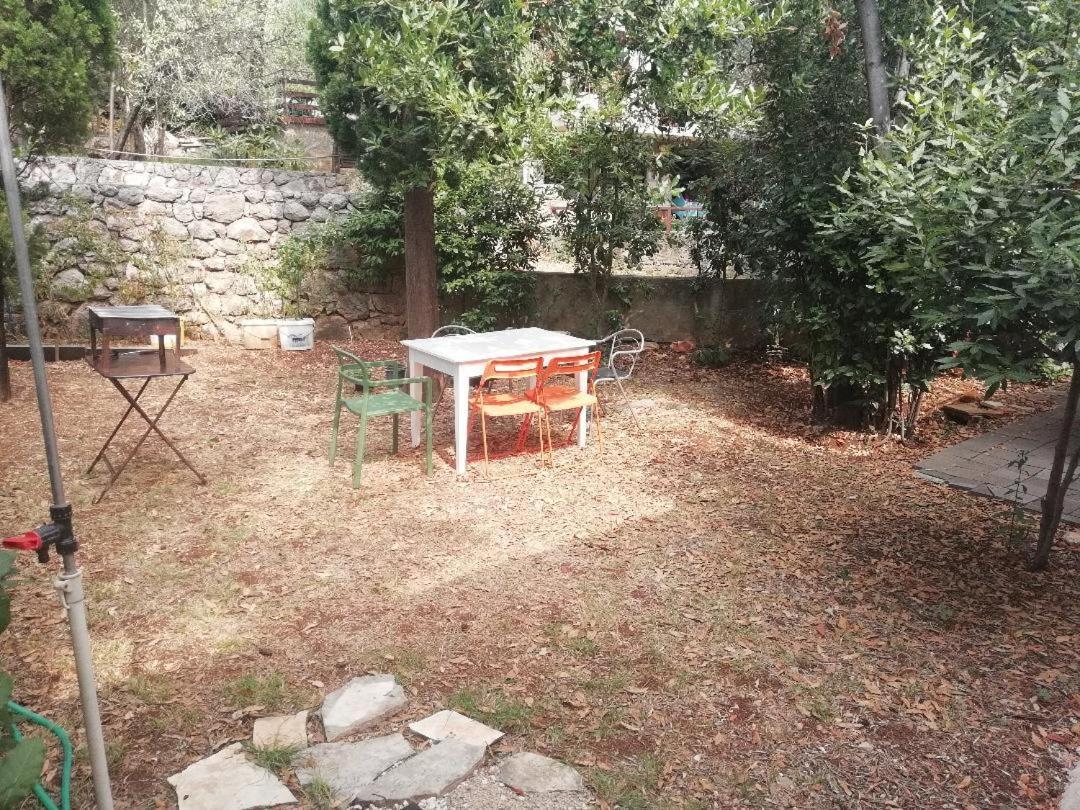 Apartments Mia Starigrad Paklenica Eksteriør billede